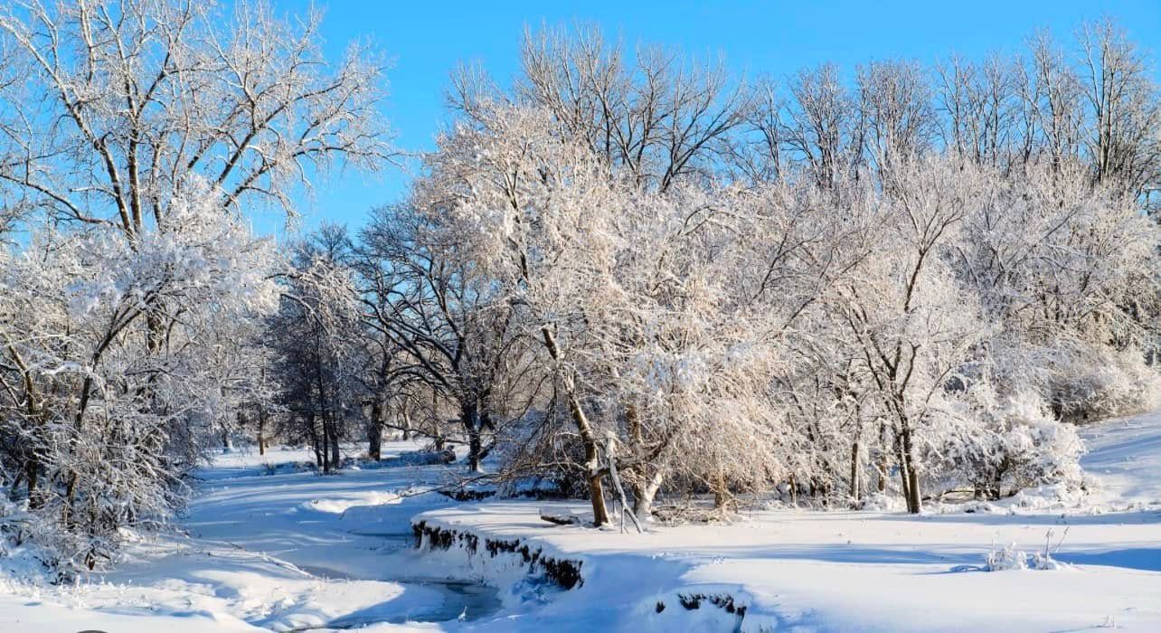 All Photos for Allstate Tree Service in Fridley, MN