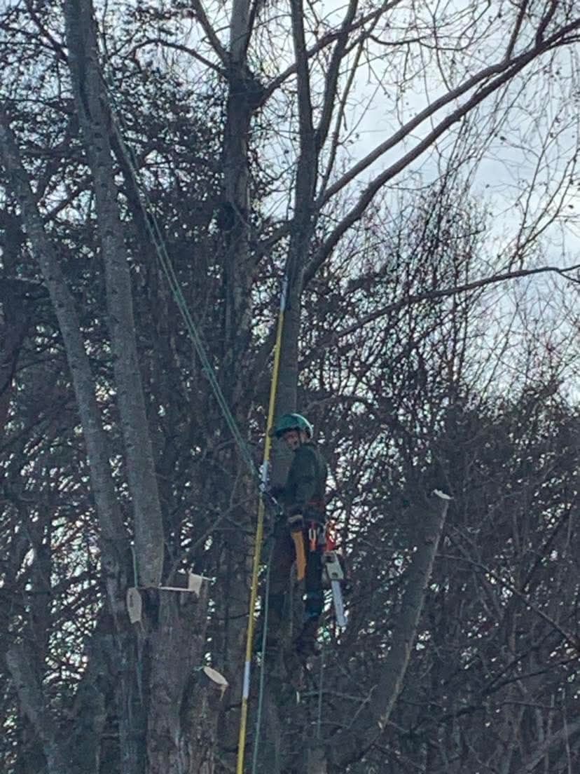 All Photos for VA Landgrowth LLC in Lexington, VA