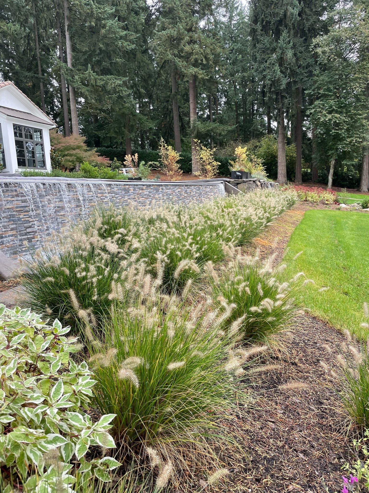  for Courtney Lewis Landscape Design in Portland, OR