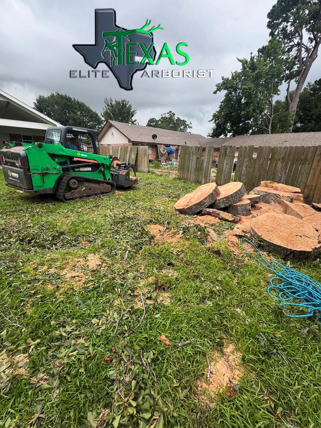 for Texas Elite Arborist in Houston, TX