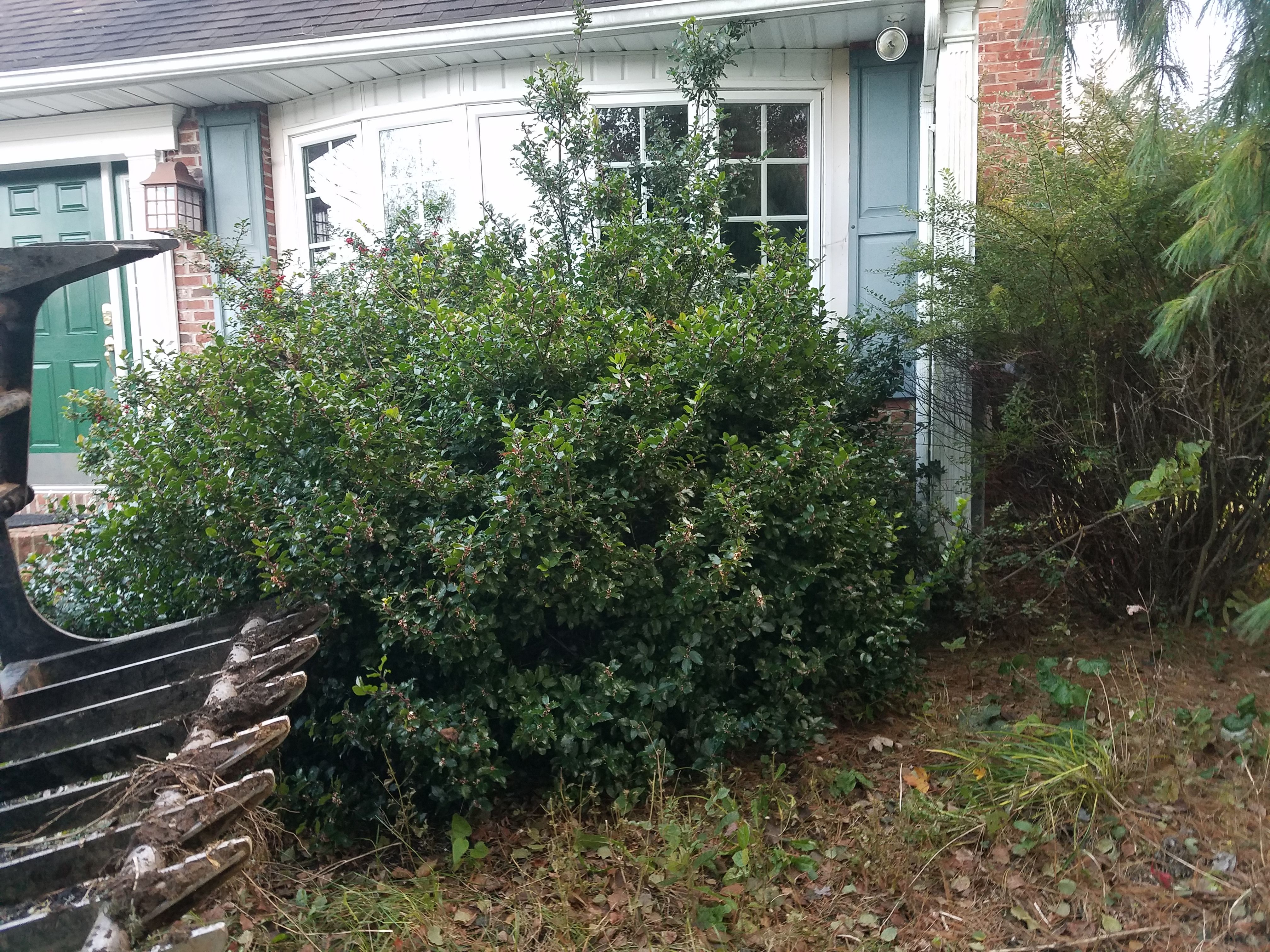  for Down Home Landscaping in Stillwater, PA