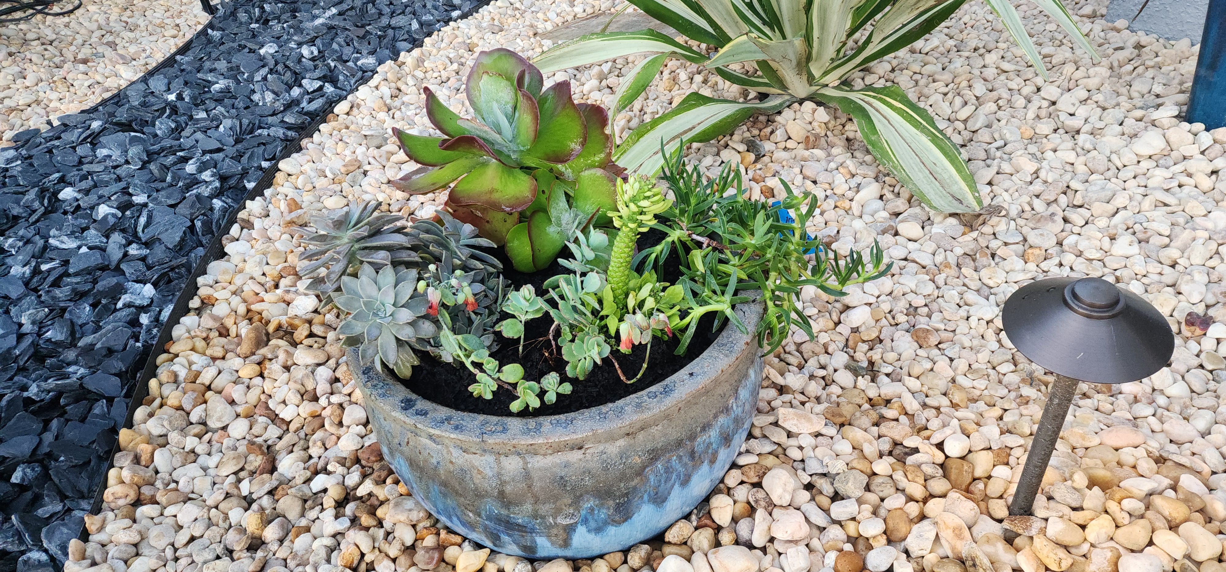  for Epic Vine Design in Melbourne, FL