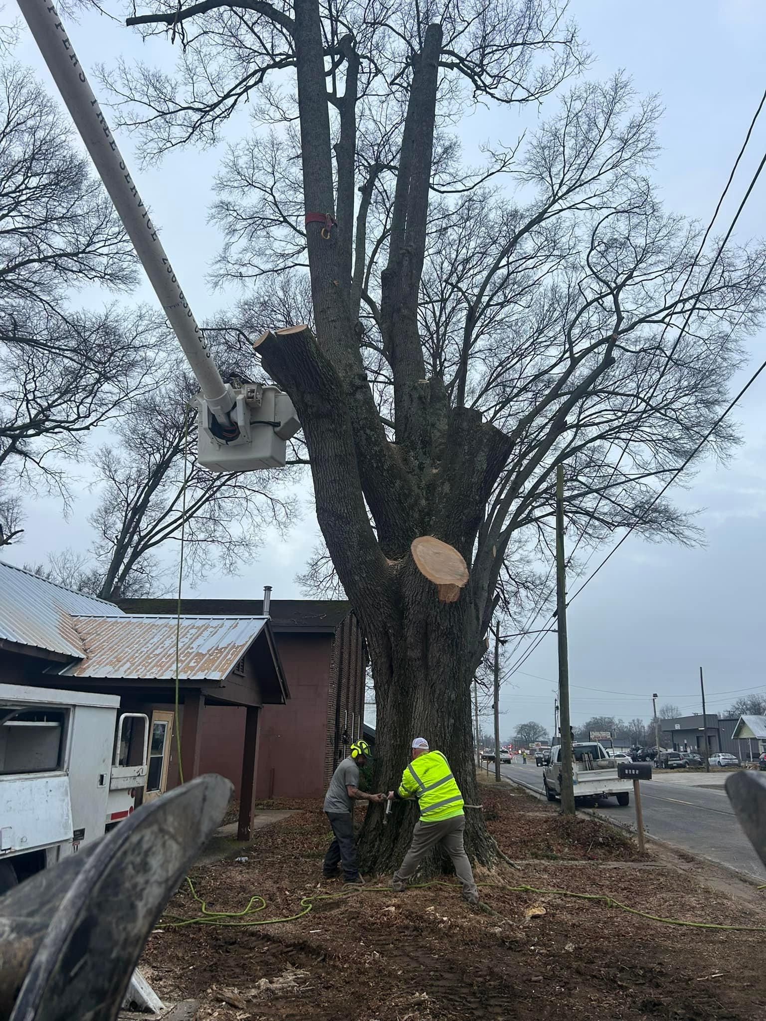  for Chipper's Tree Service  in Fort Payne, AL