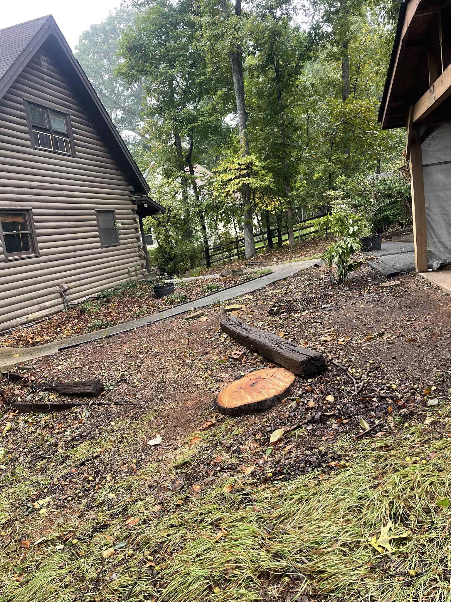  for K-2 Tree Service in Shelby, NC