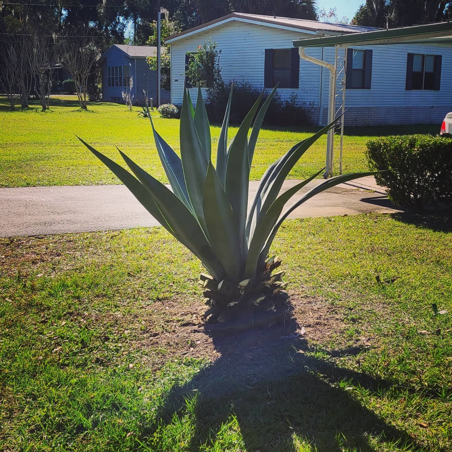  for TopNotch Landscaping Services  in The Villages, FL