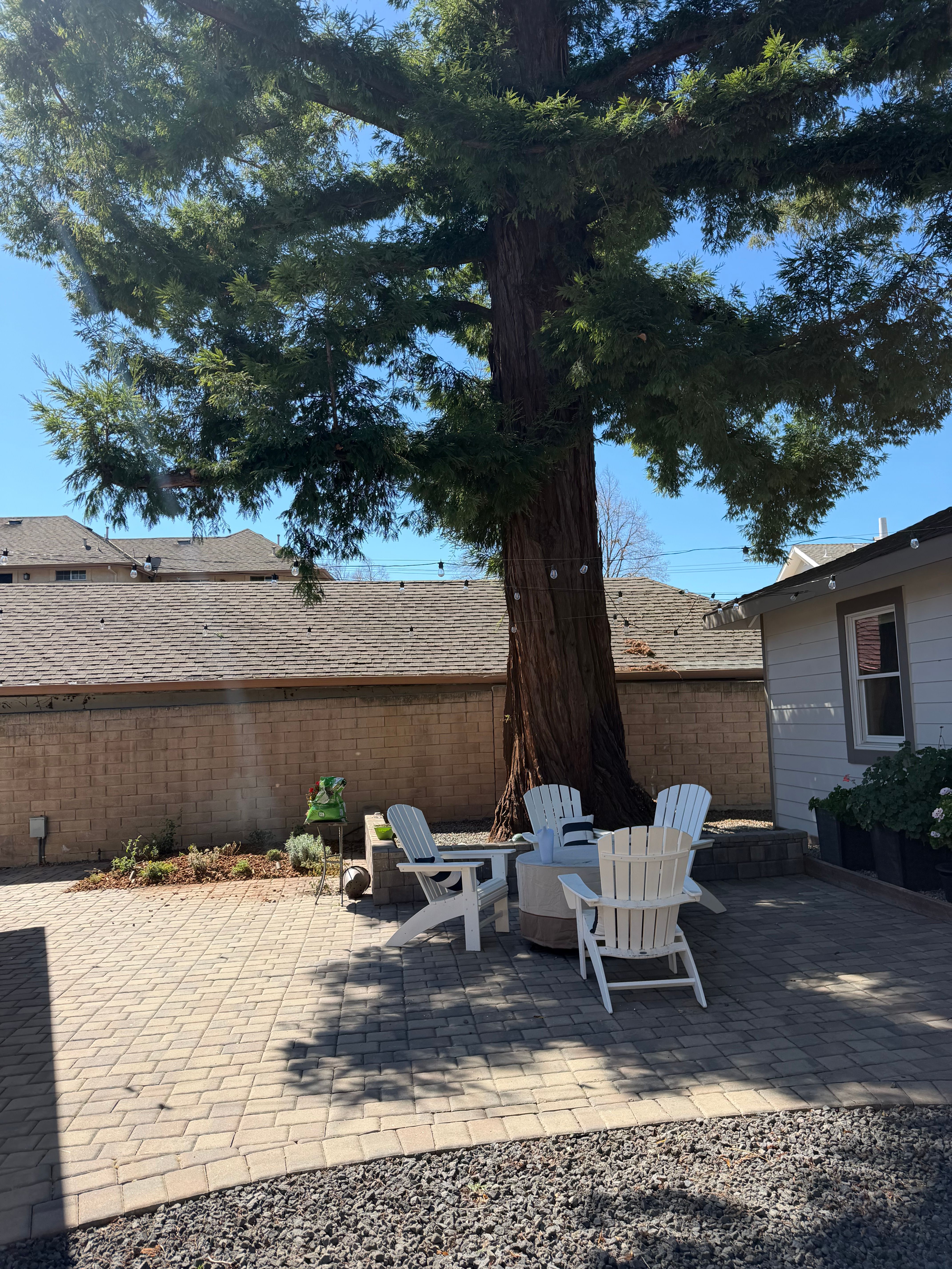  for CBA Landscaping in Hayward, CA