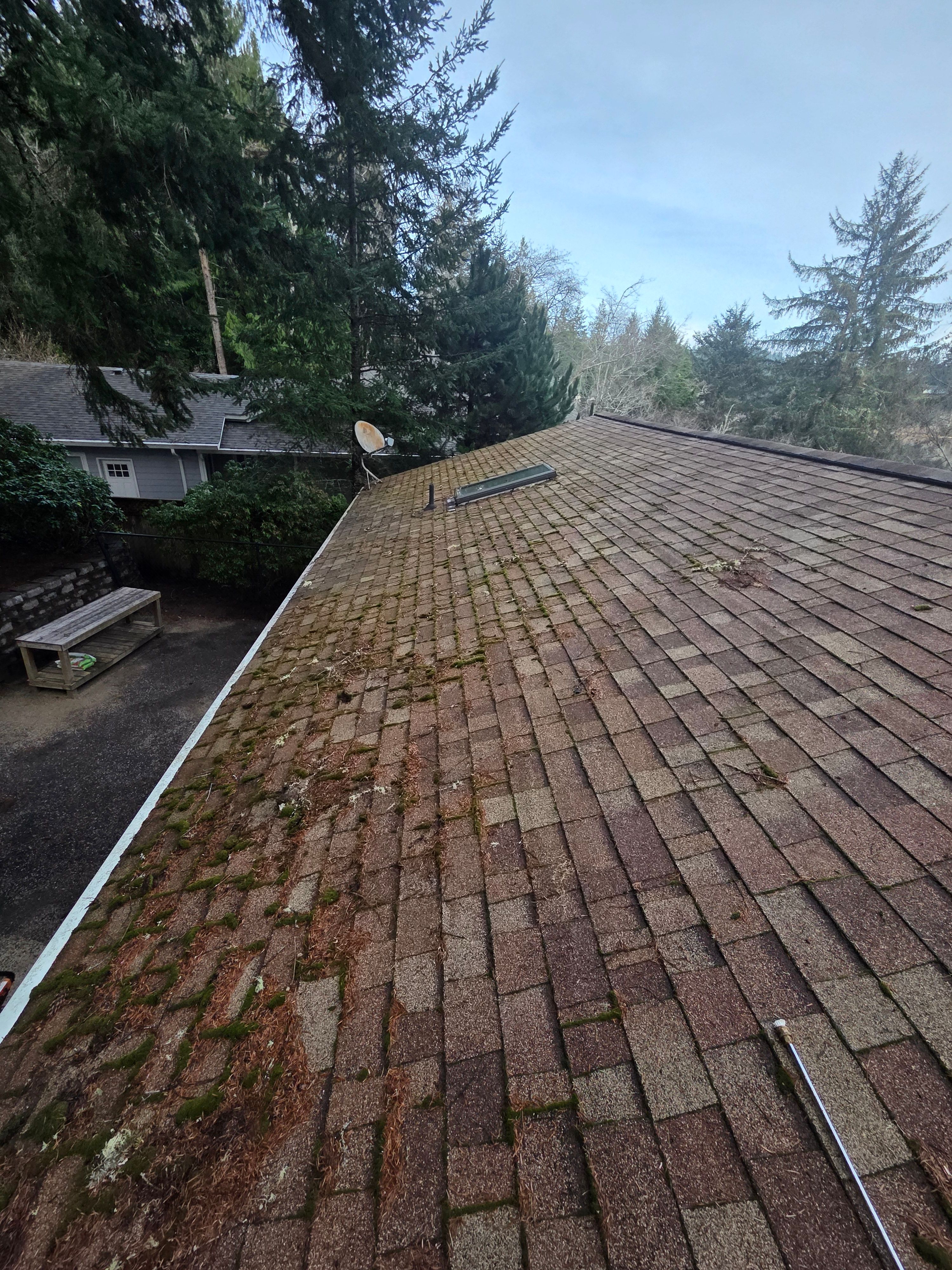  for BTC Construction in Florence, OR