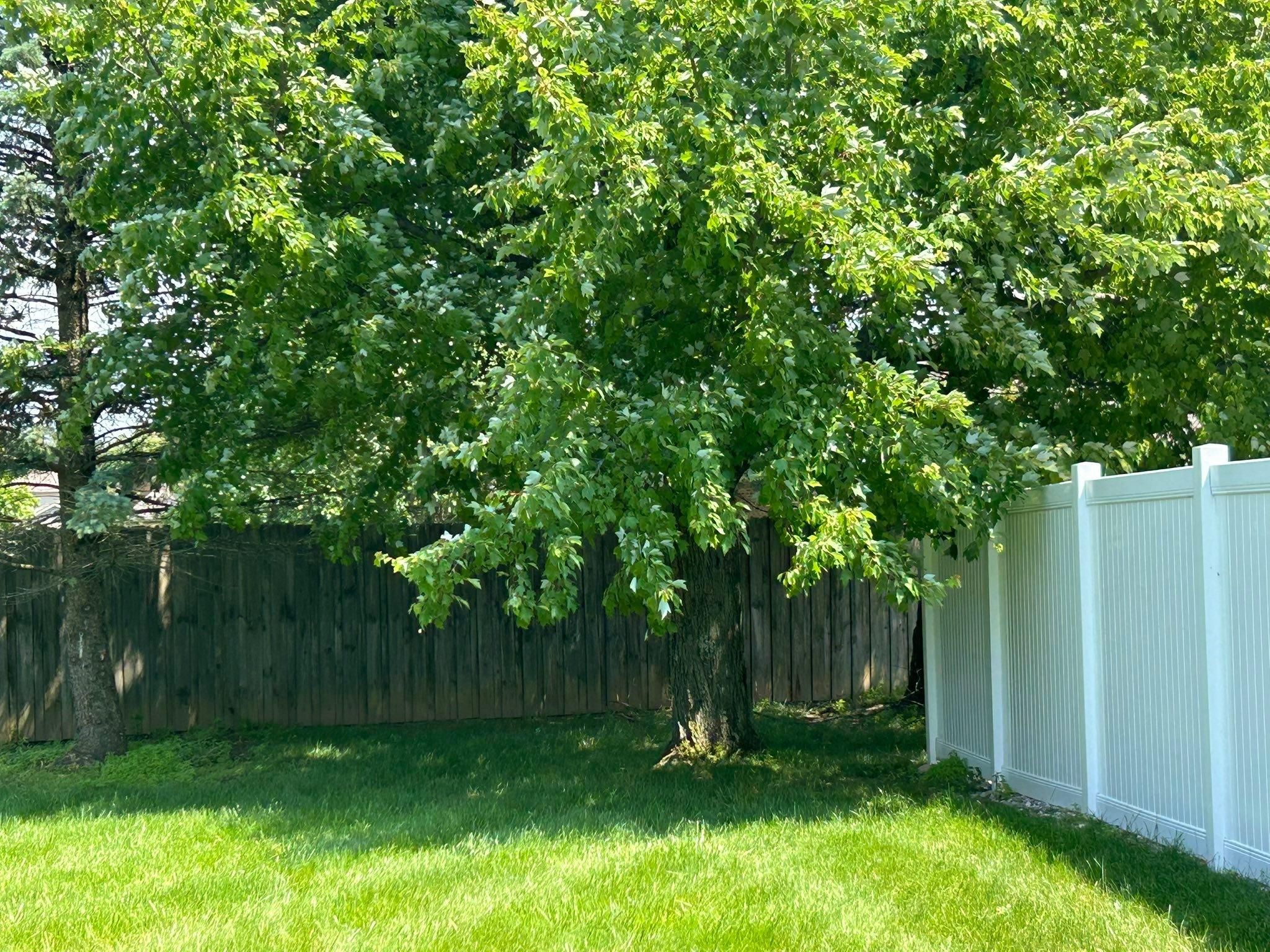  for Bearforce Lawn Care LLC in Greenfield, IN