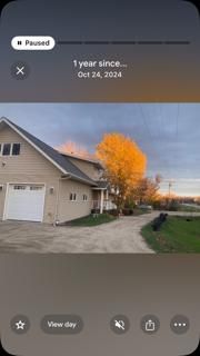  for Dan's Tree Service LLC in Bemidji, MN