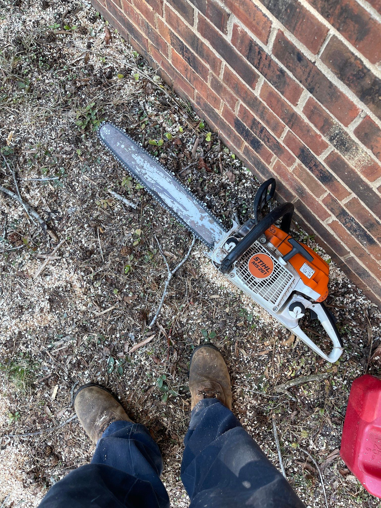  for Stem Tree Service in Belmont, NC