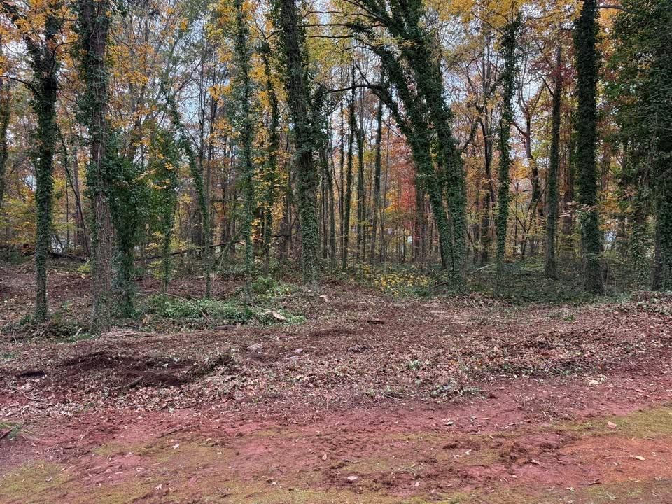  for Down South Tree Care and Landscaping in Maiden, NC