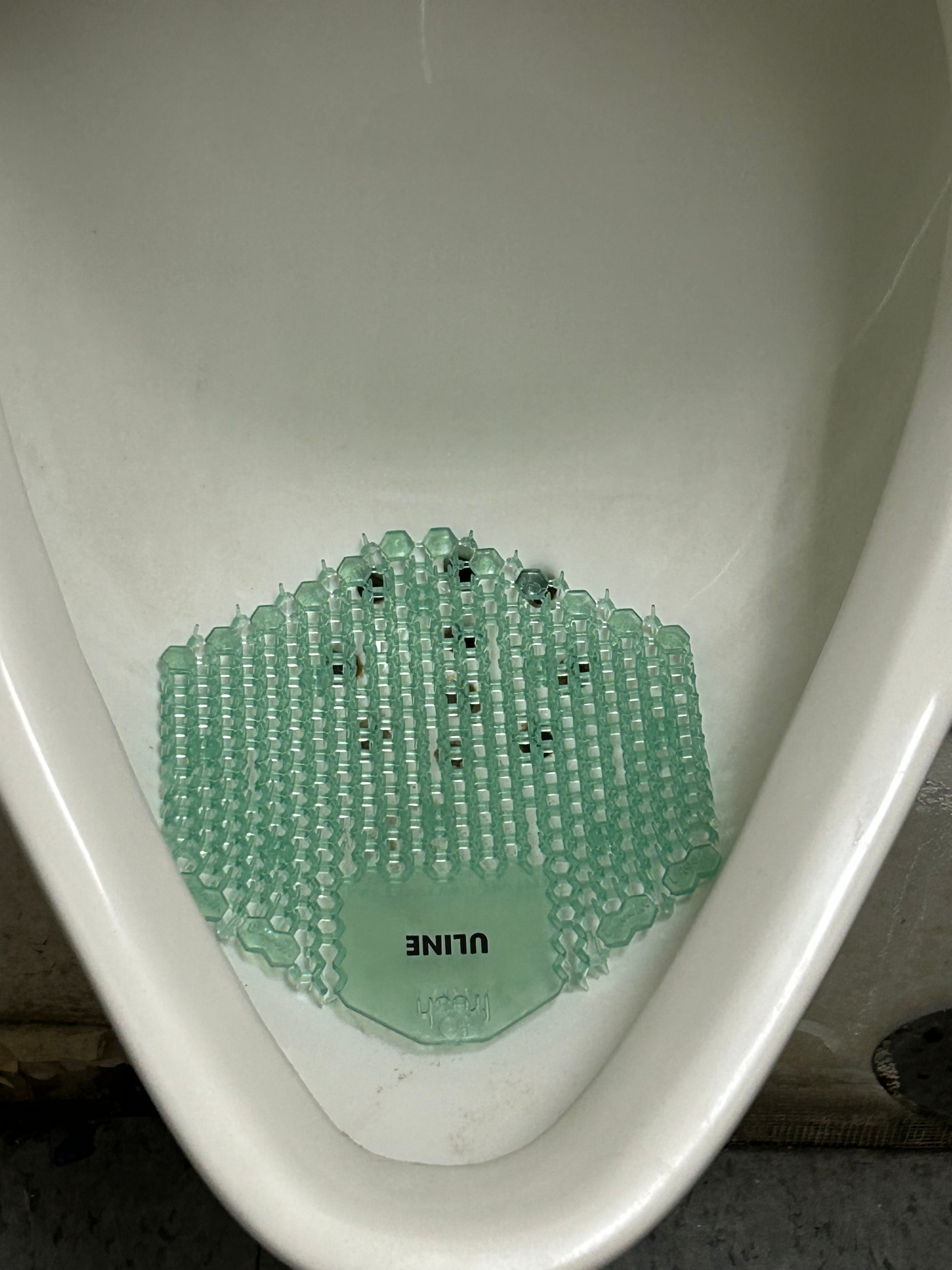  for Cleaning Carolina’s LLC in Greensboro, NC