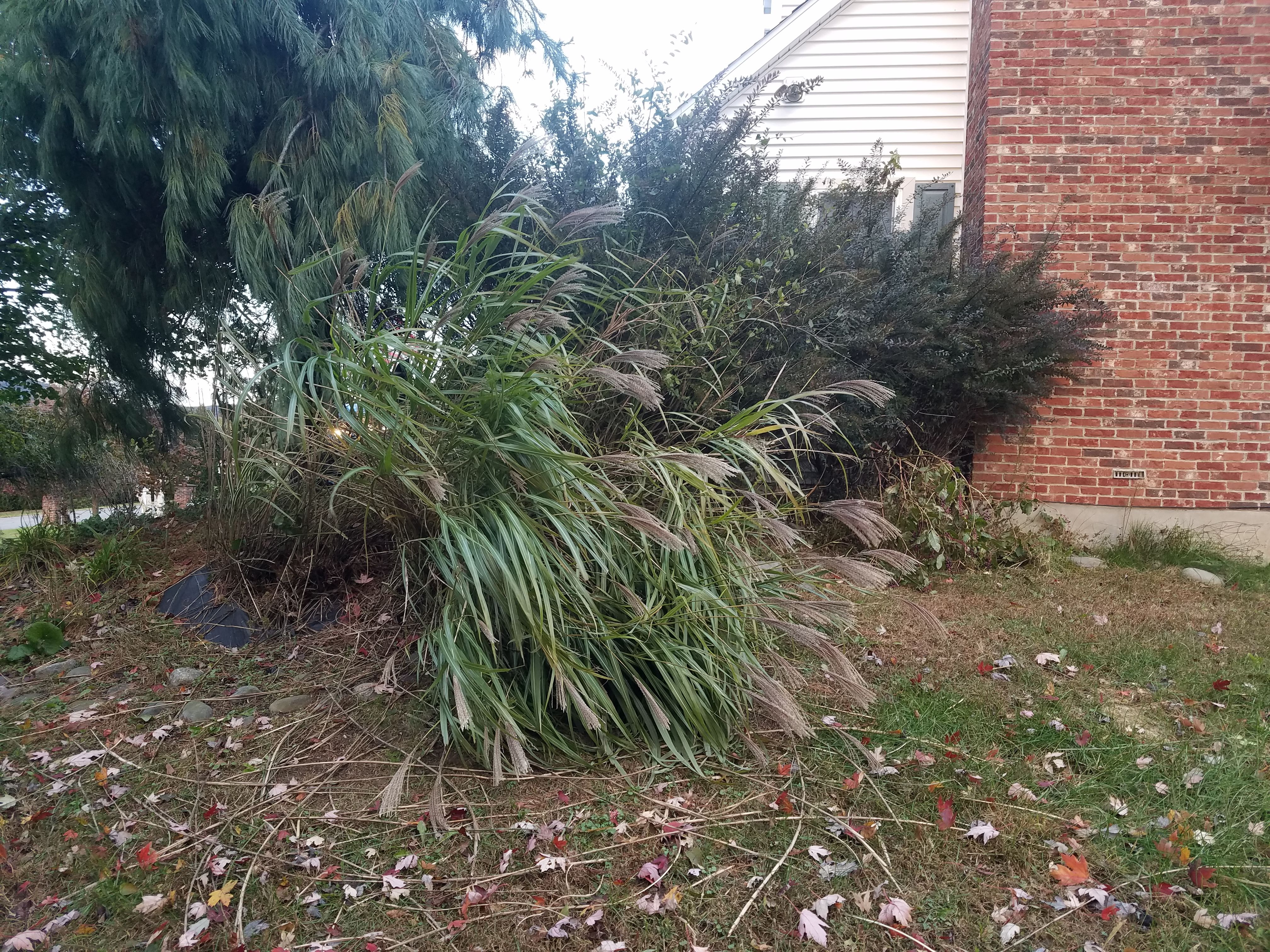  for Down Home Landscaping in Stillwater, PA