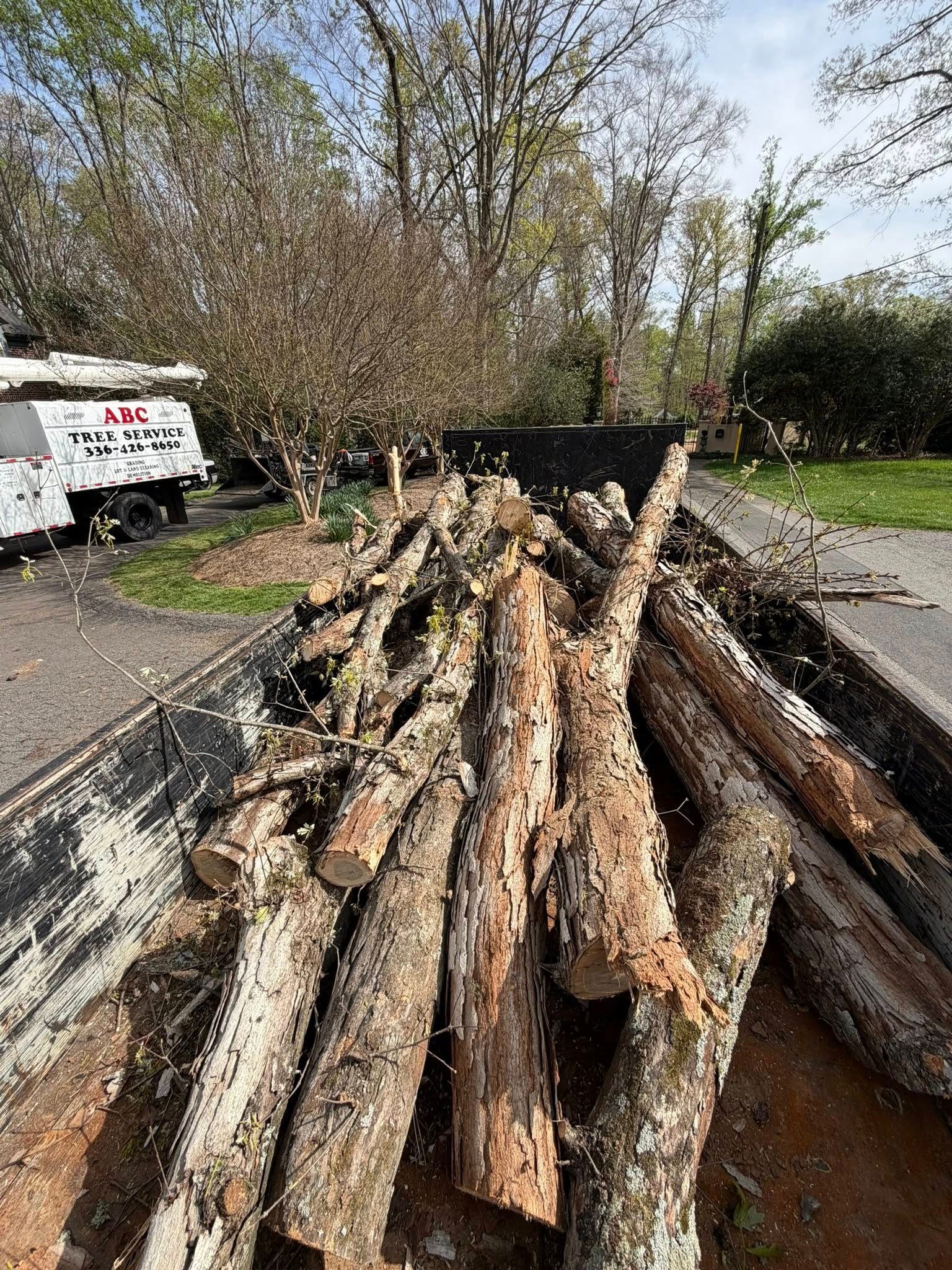  for ABC Tree Service in Dobson, NC