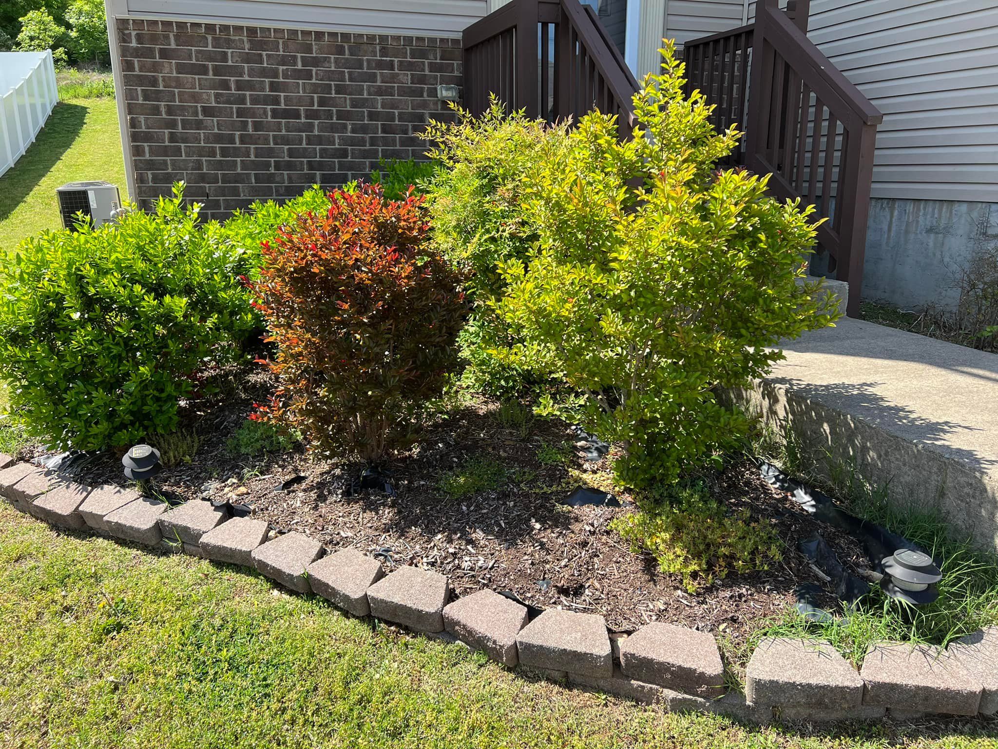  for Grass Management in Nashville, TN