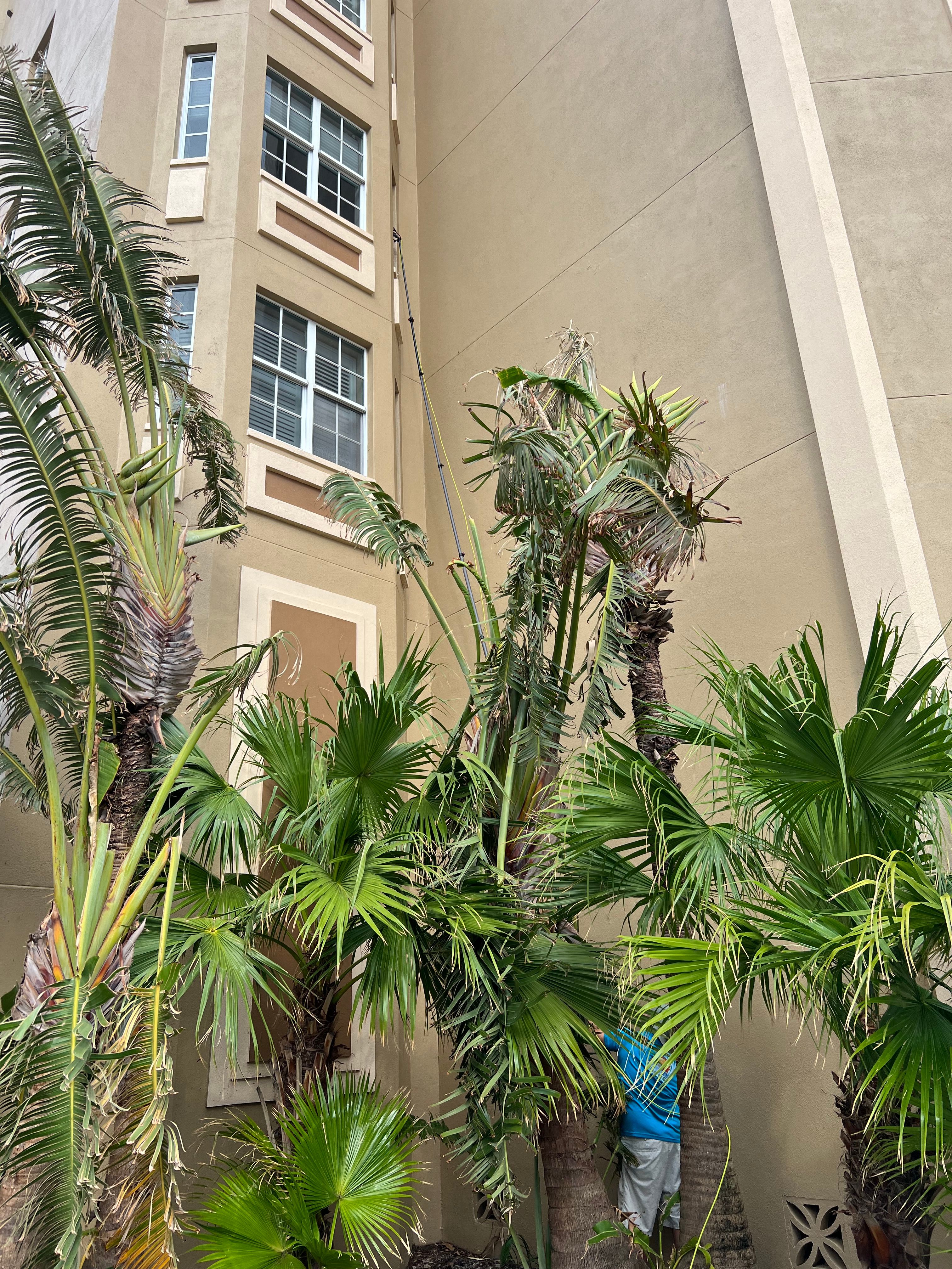  for My Window Guys in Venice, FL