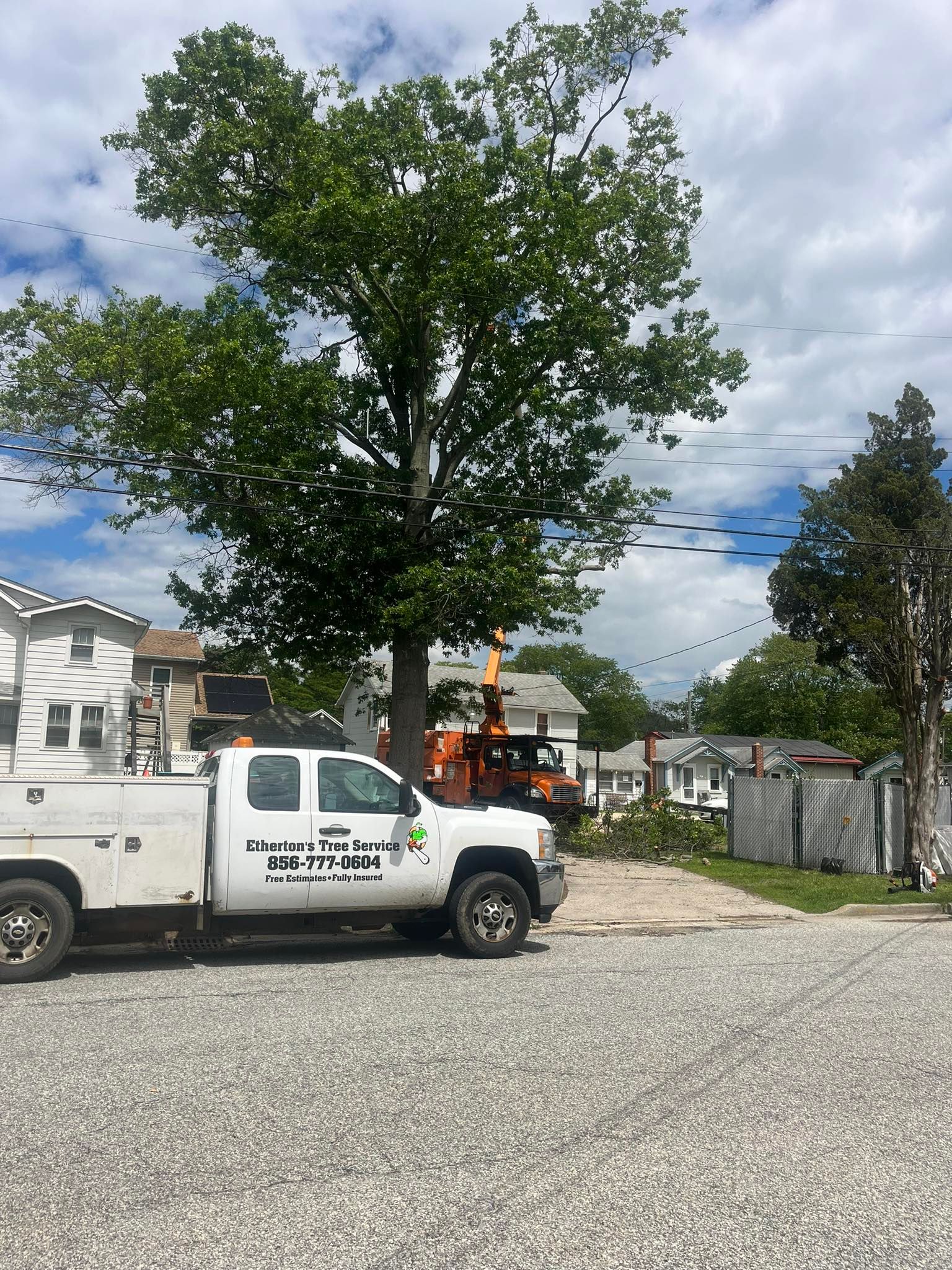 Tree Services for Etherton’s Tree Service in Quinton, NJ