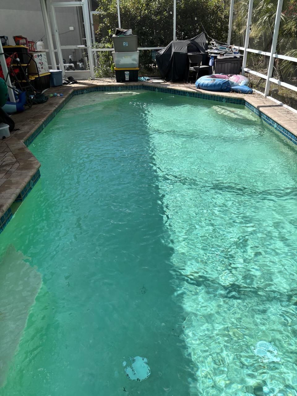  for Blue Bay Pools in Tampa, FL