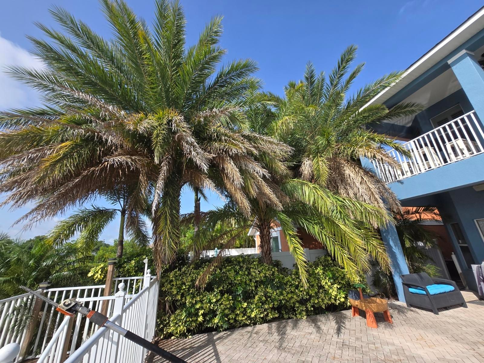 All Photos for TREE BOYS in Ruskin, FL