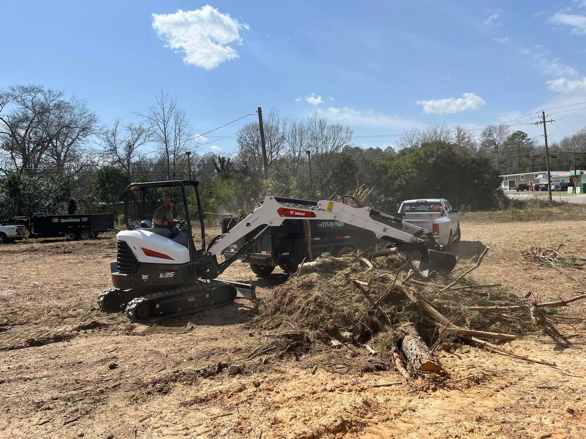  for T N L - Tree and Land Service in Reynolds, GA