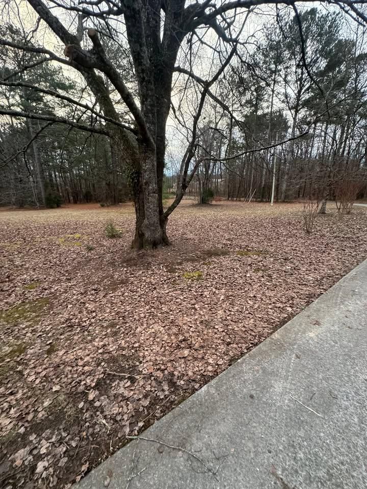  for Sunrise Lawn Service LLC in Rome, GA