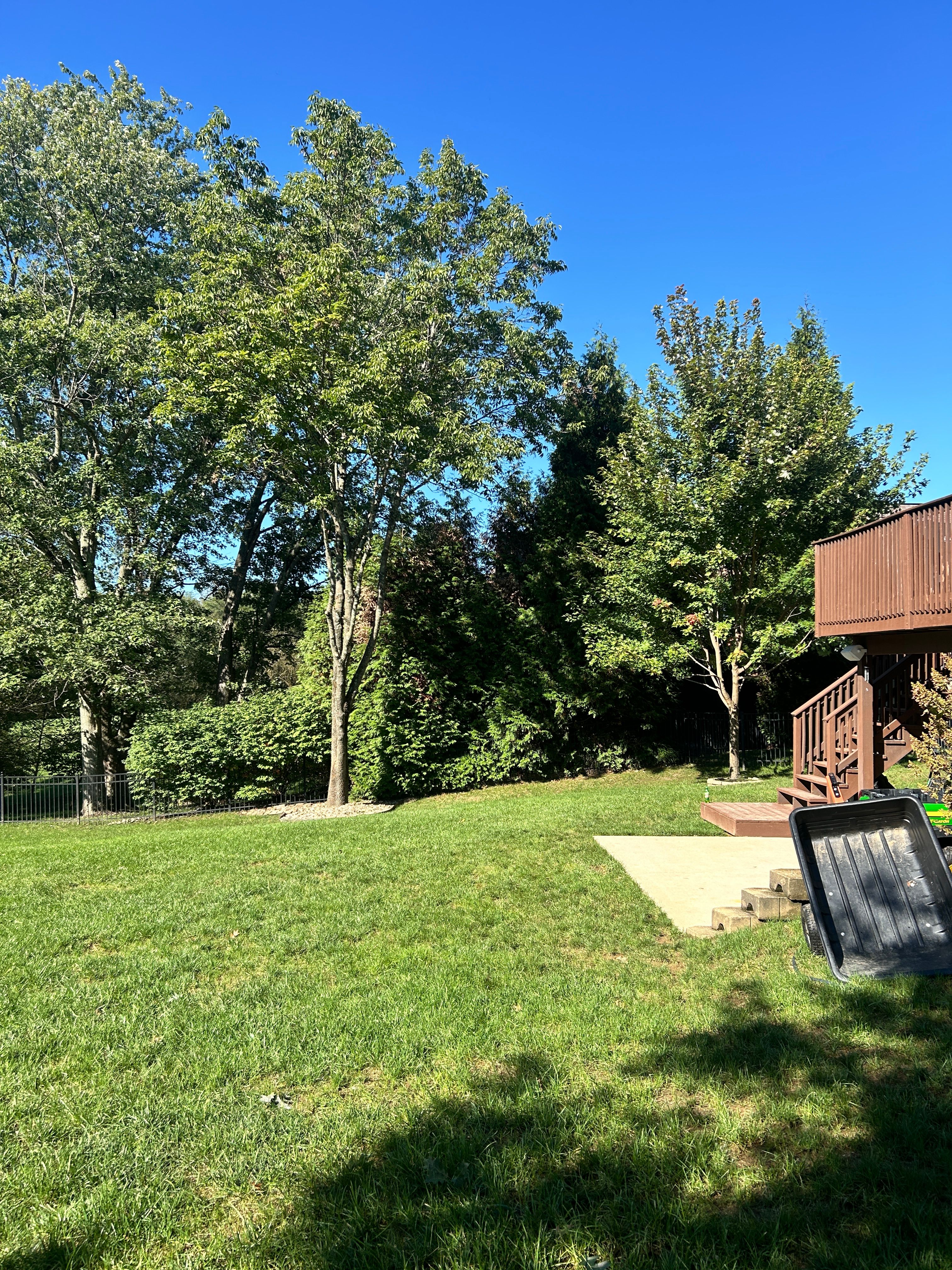  for Terra Steel Creations in Independence, KY