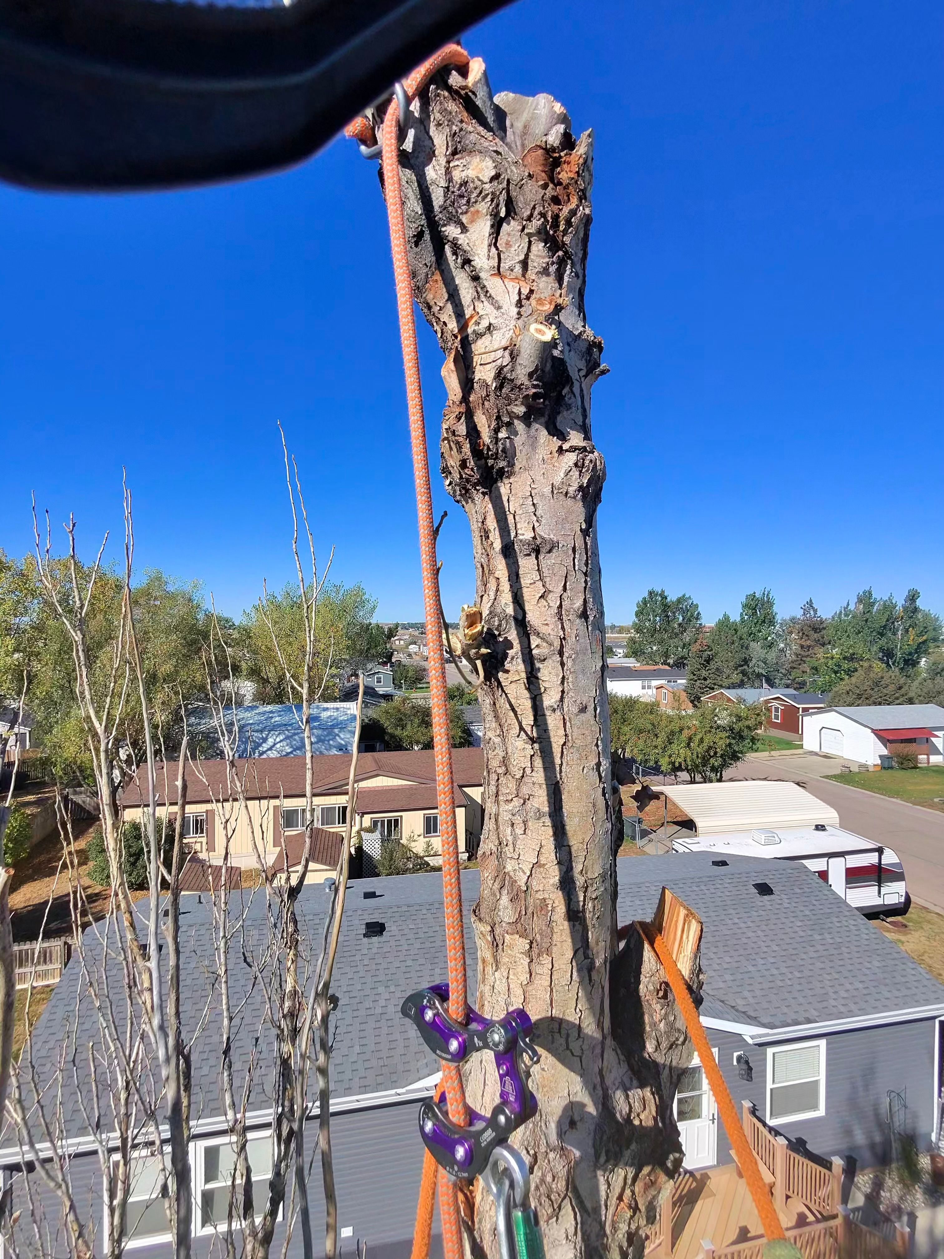  for Elevated Tree Care in Gillette, WY
