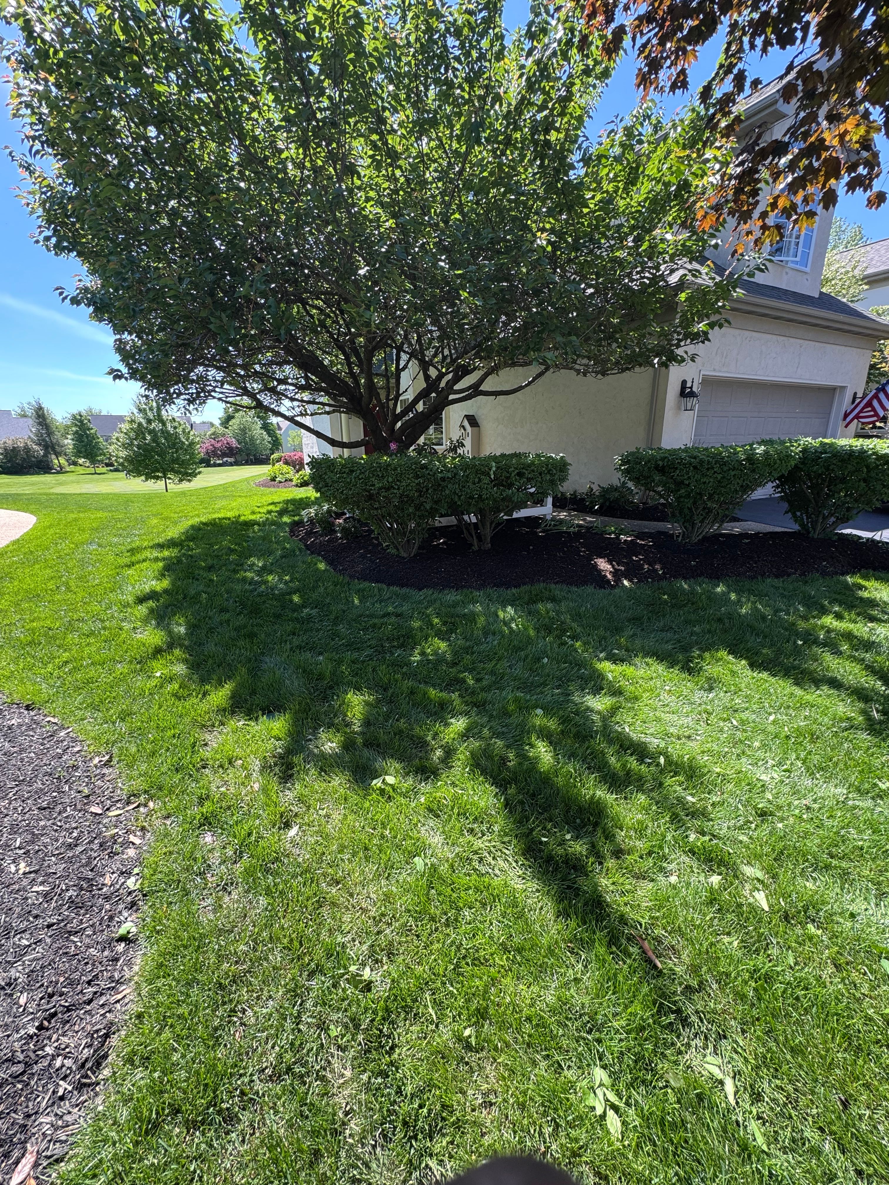 All Photos for Landscape & Lawn Care Pros in Reading, PA