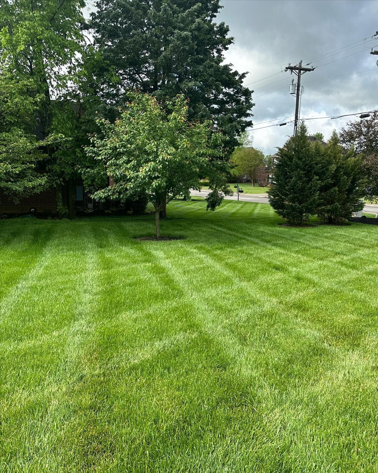 for The Right Price Right Choice Lawn Care Services in Murfreesboro, TN