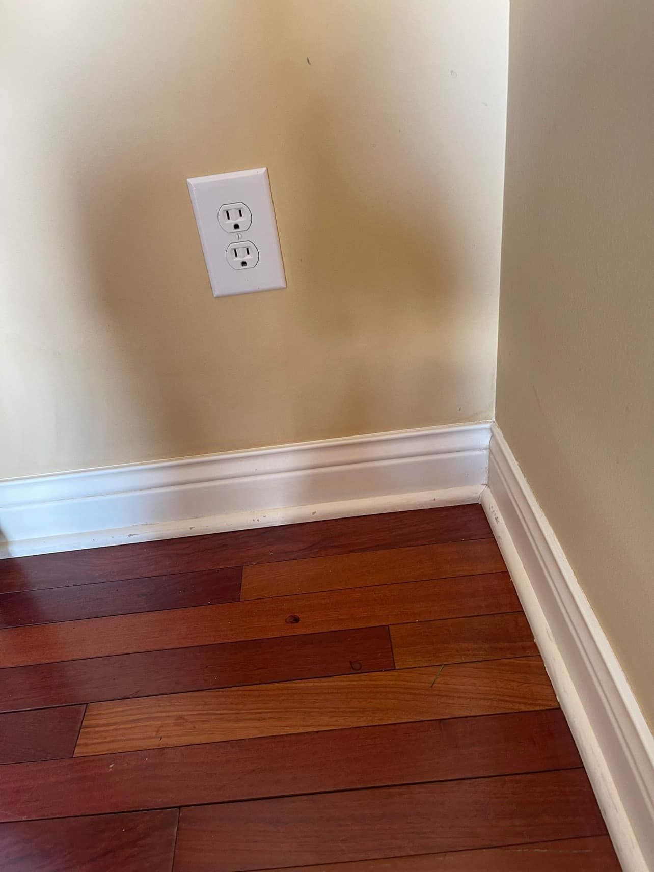  for Omi’s Cleaning Services in  Minneapolis, MN