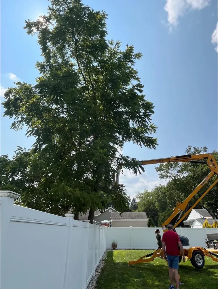 All Photos for Licensed to Cut Tree Service in Athens, PA