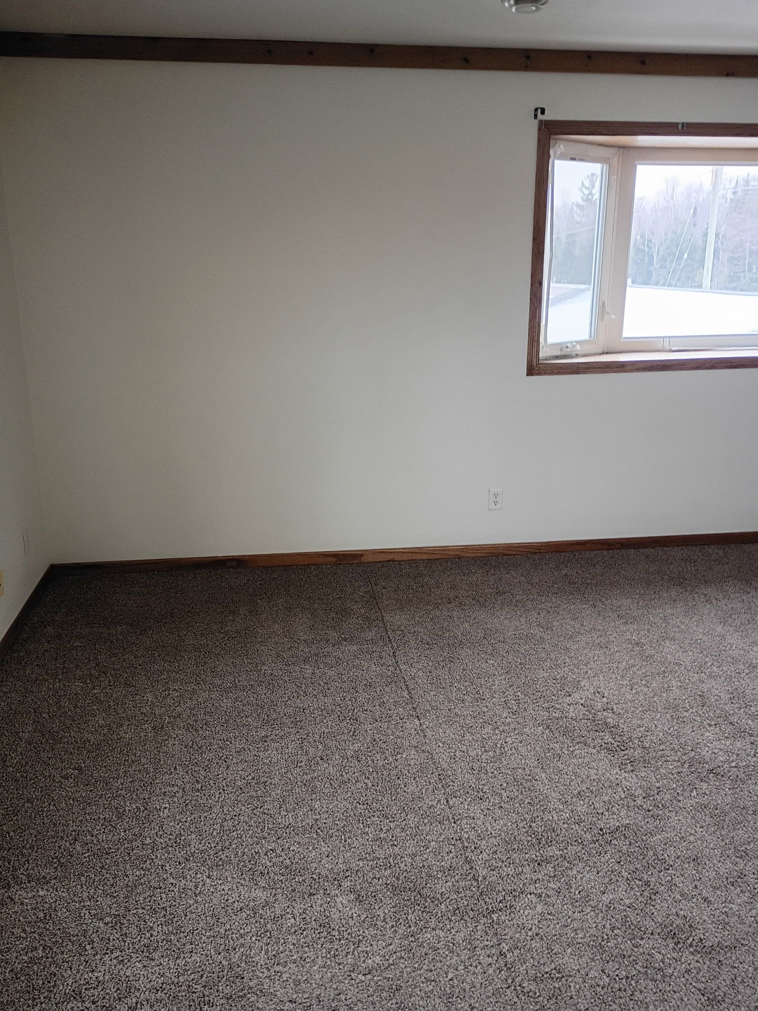  for My Soft Wash Guys in Venice, FL