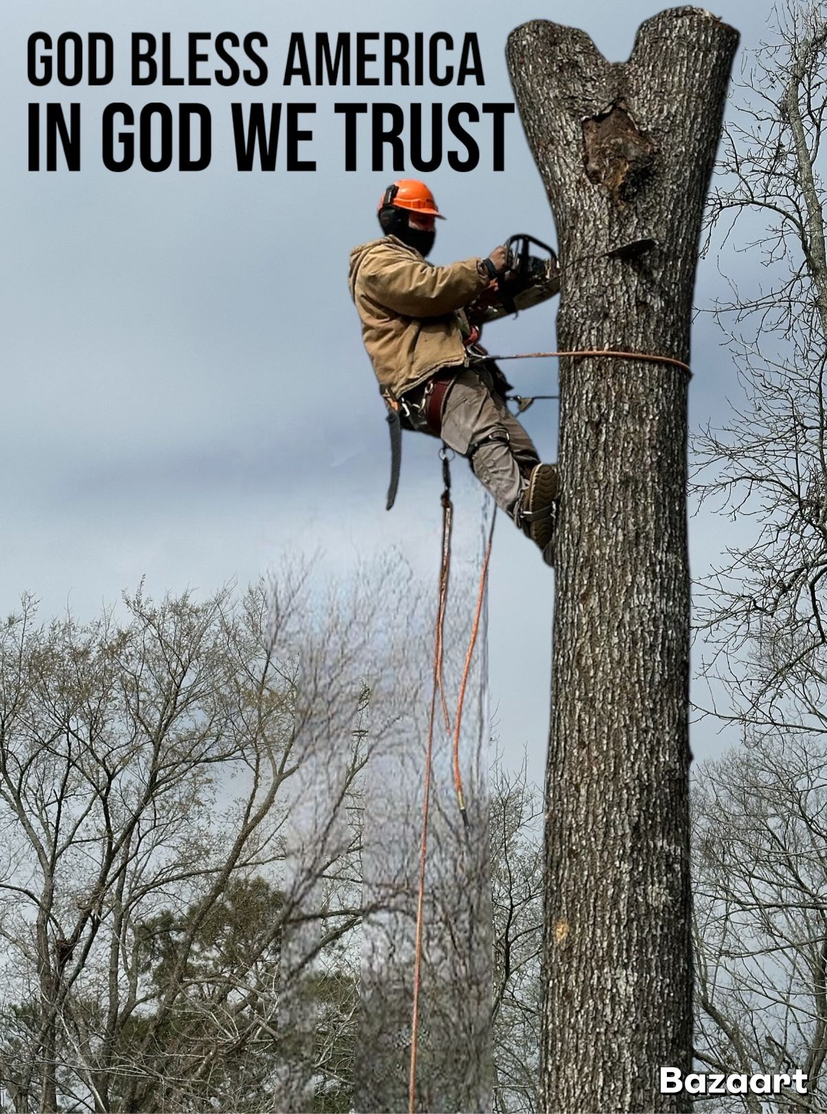  for C&B Ramos Tree Service in Houston, TX