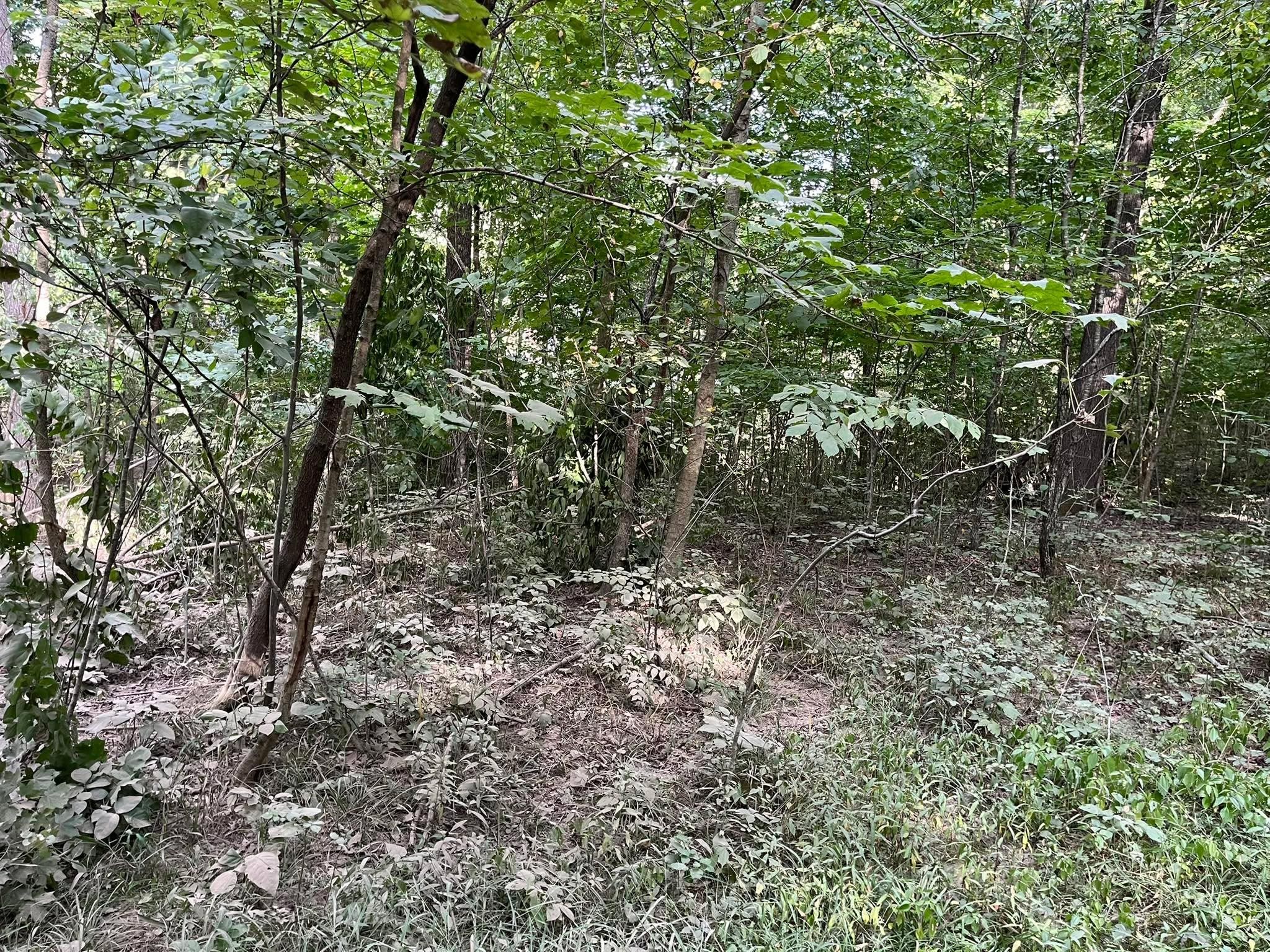  for KG Ground Development and Transportation in Newton, IL