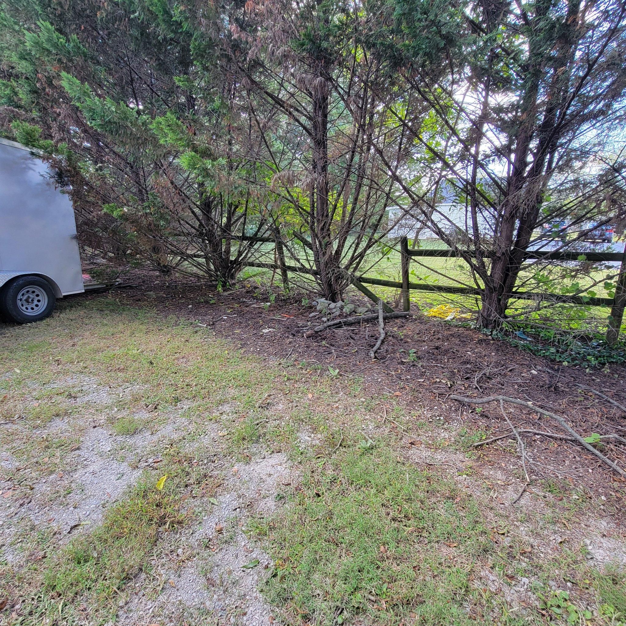  for Z's Land Management & Forestry Mulching in Smithville, TN