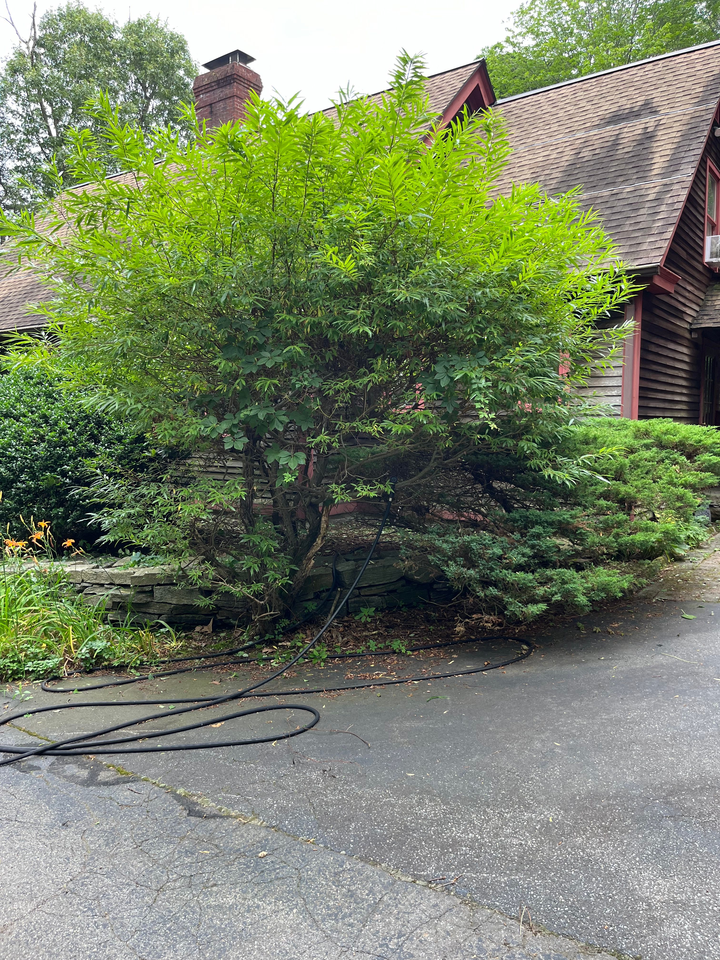  for Evolution Landscaping and Construction  in Charlestown, RI