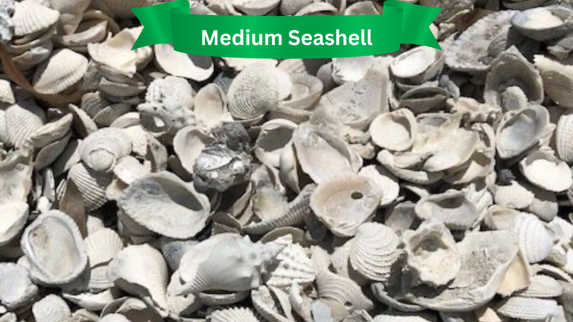  for R.B. & Company in Belleview, FL