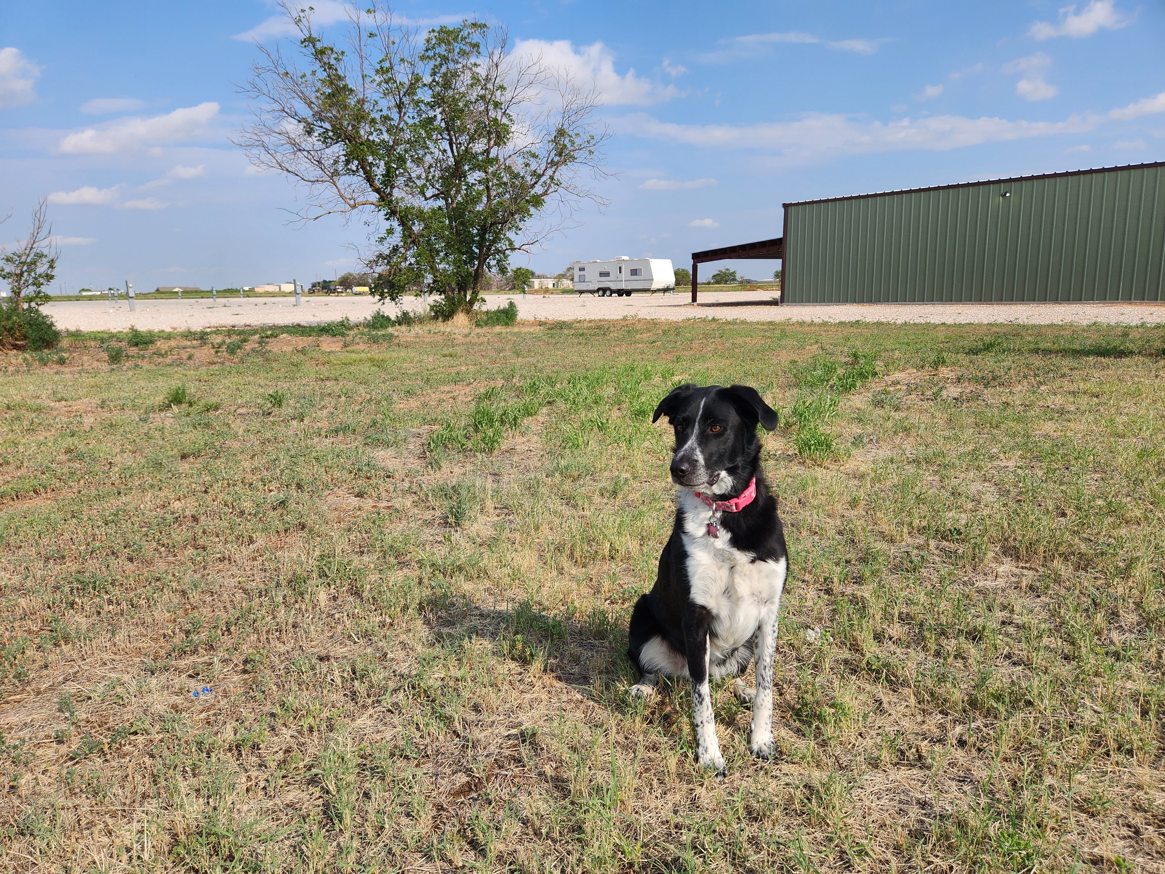 All Photos for Prairie Land Properties LLC in Lubbock, TX