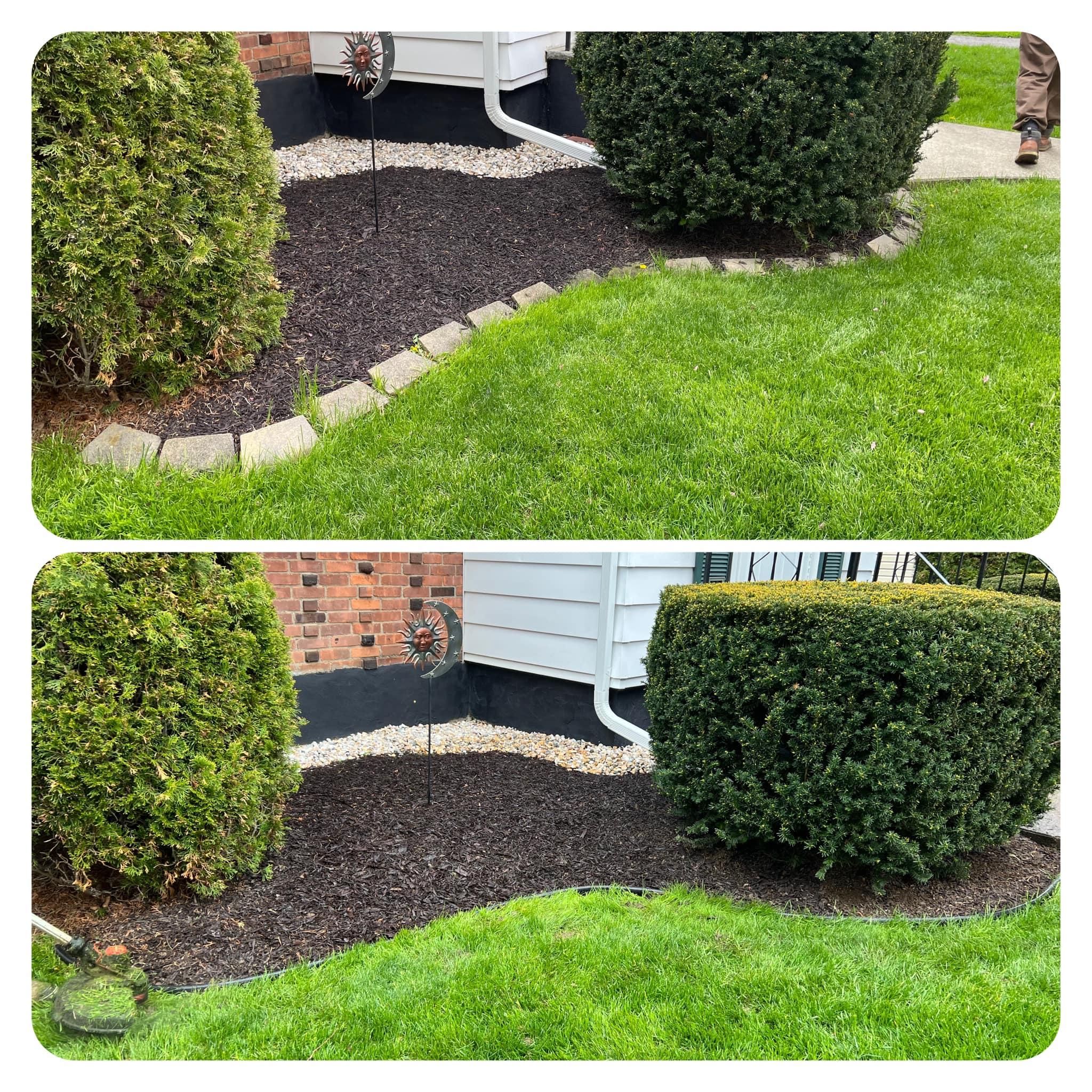  for Bumblebee Lawn Care LLC in Albany, New York