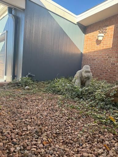  for Lucero's Painting & Floor Coating in Albuquerque, NM