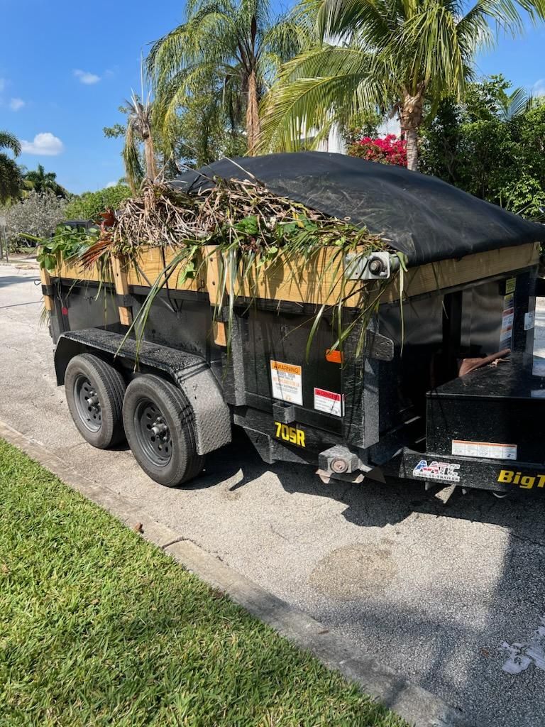 Tree Trimming and Removal for Rey Landscaping & Lawn service LLC in West Palm Beach,  FL