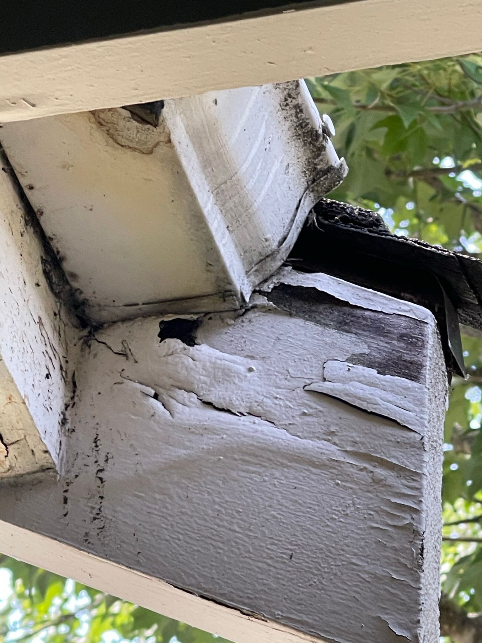  for Tony's Remodeling & Painting in Renton, WA