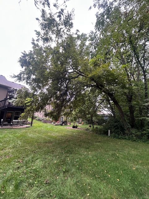 All Photos for Cross Family Tree Service in Kearney, MO