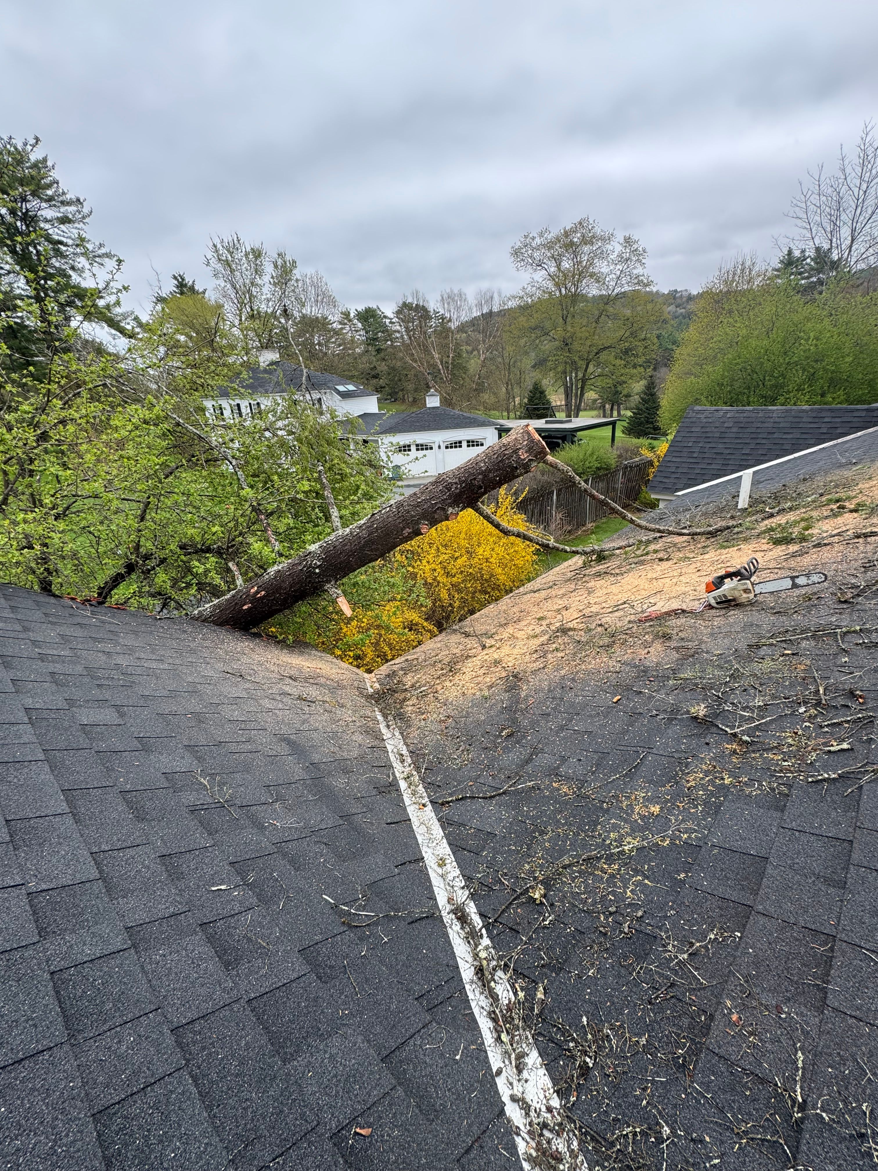 All Photos for Clifford’s Quality Tree Care & Landscaping in Enfield, NH