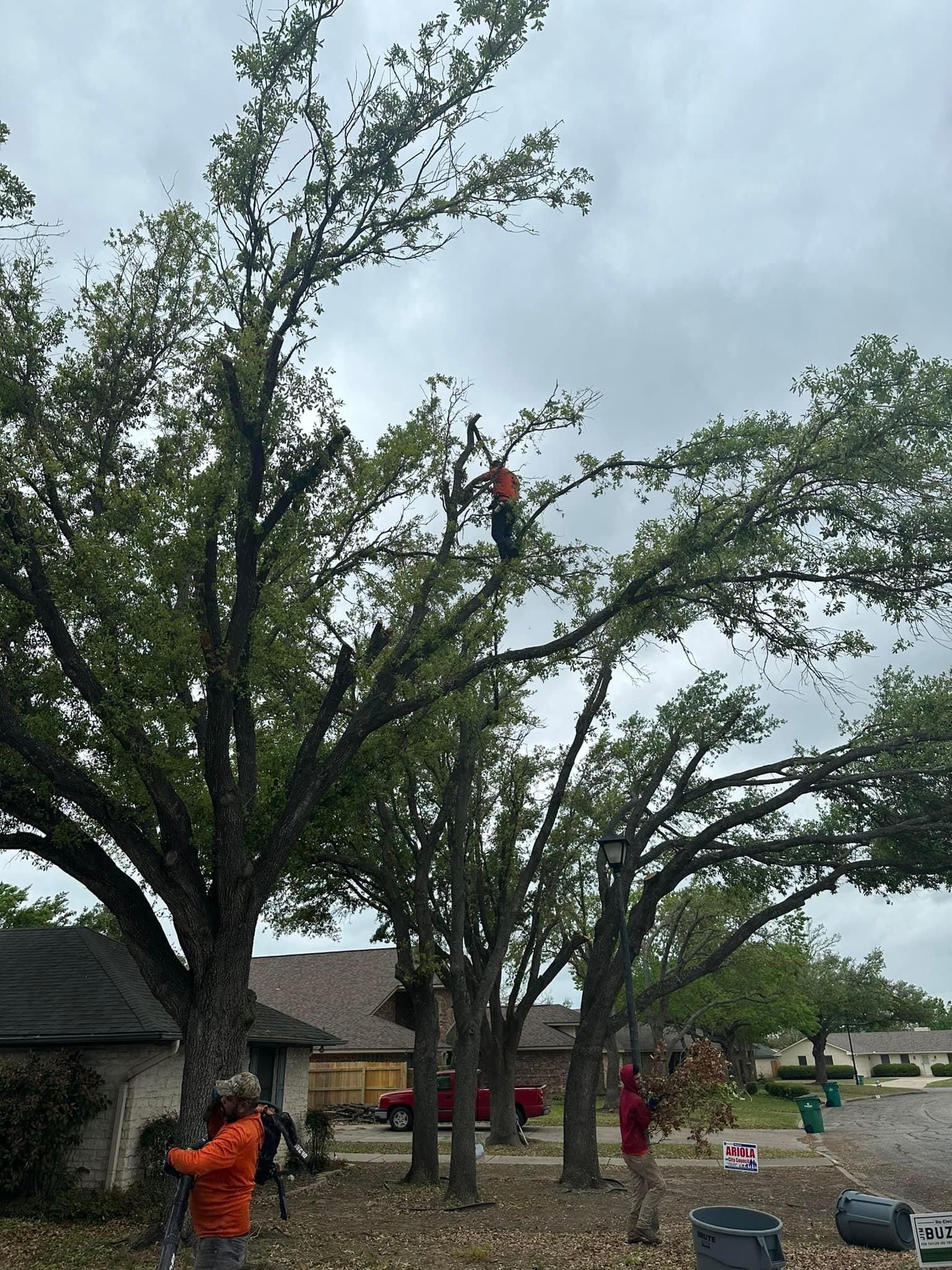 Mowing for Allen Lawn Care in Taylor, Texas