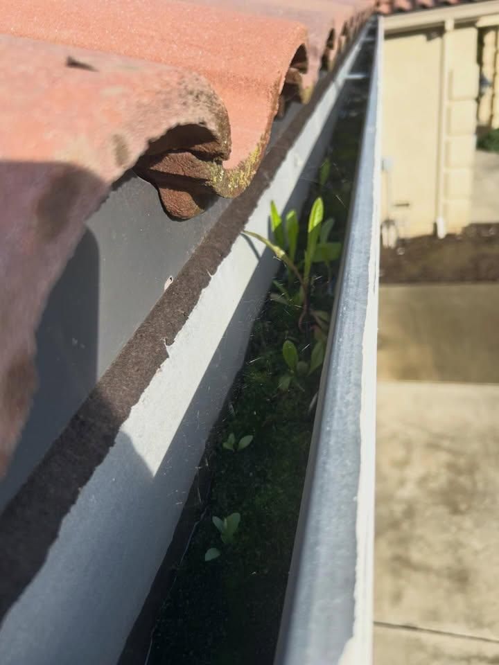  for GGG Home Services in San Jose, CA