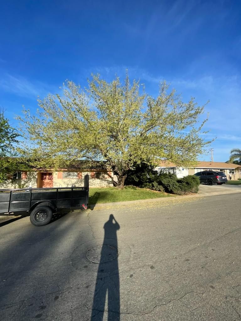  for Zuta1 Services in Redding, CA