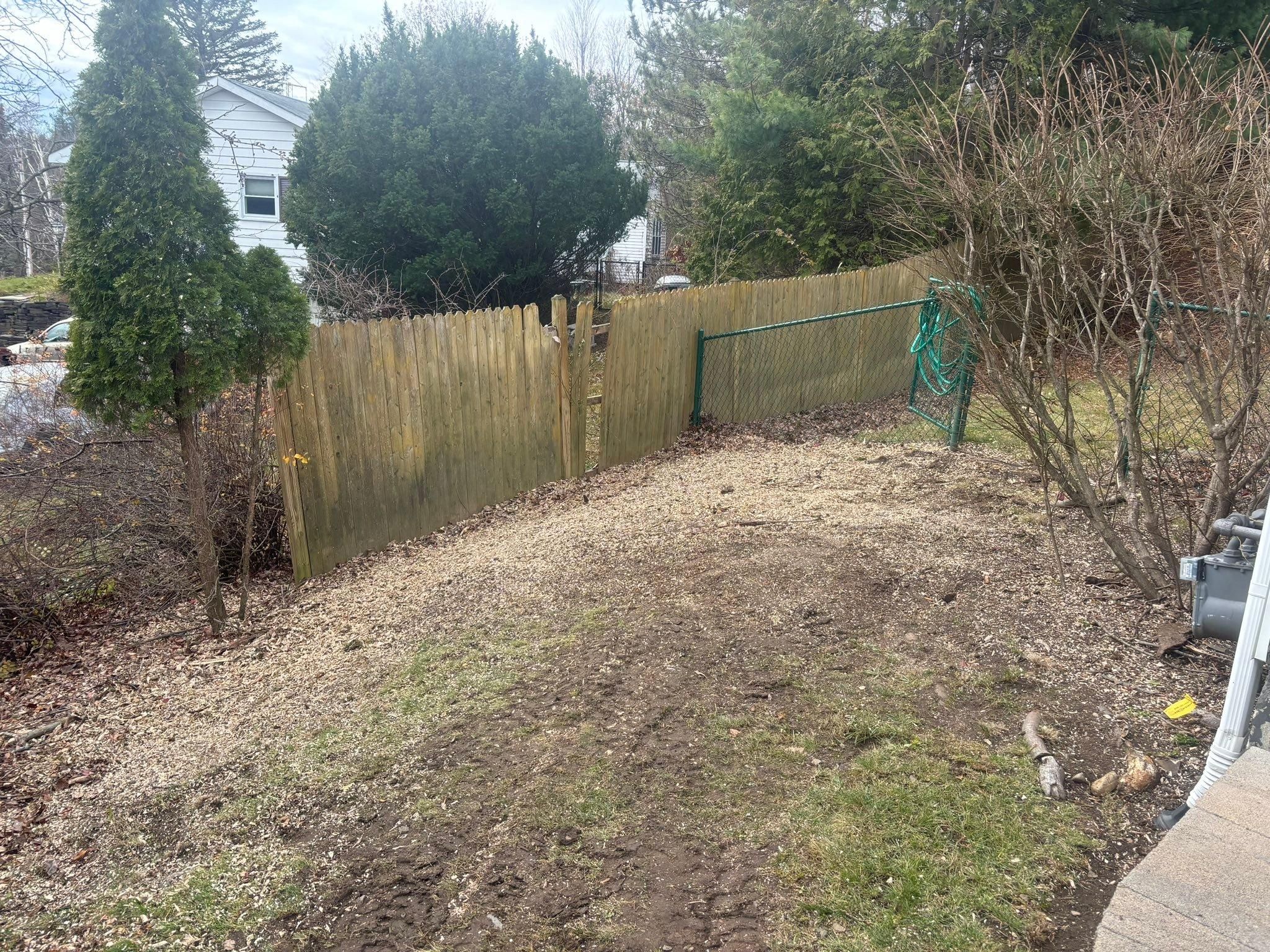  for T's Trees in Albany, NY