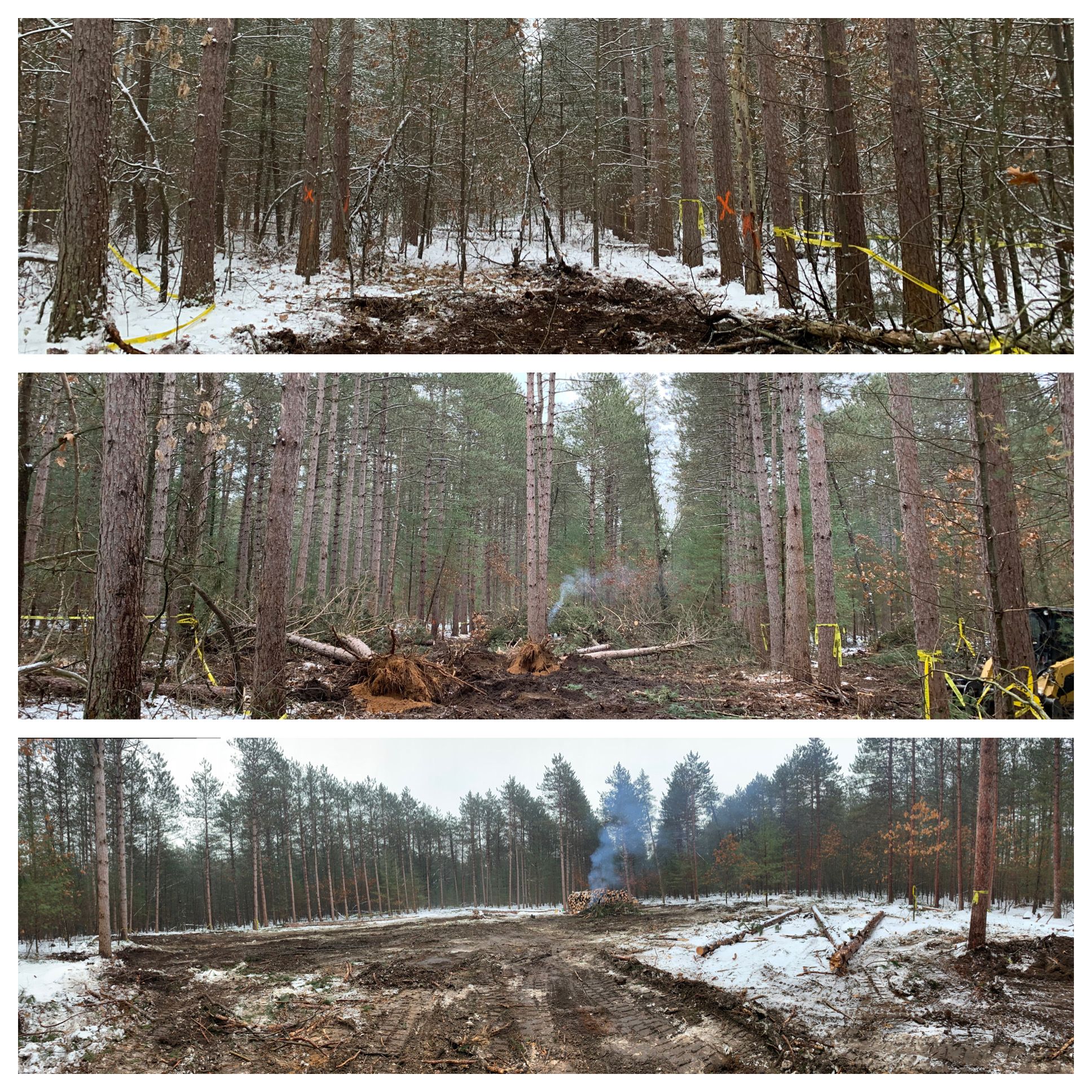  for Palmer Property Services in Middleville, MI