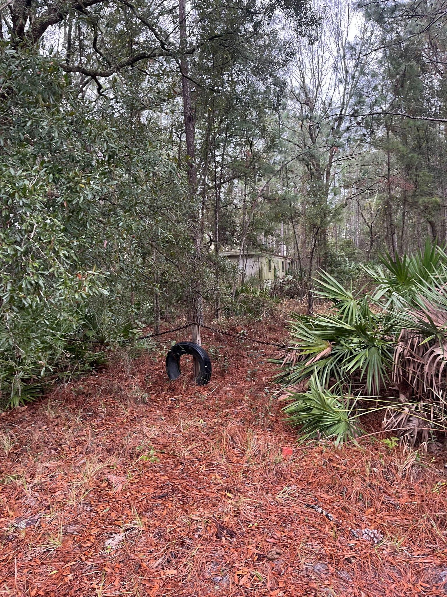  for Diamond B Earthworks in Camden County, GA